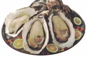 Half Shell Oyster (Korean and China)